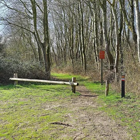 Super Deluxe 6p - Omringd Door - 27 * Ouddorp