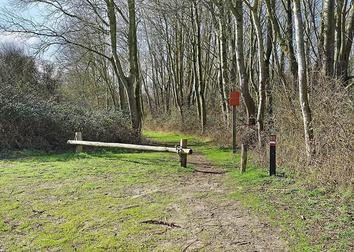 Super Deluxe 6p - Omringd Door - 27 * Ouddorp